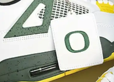Hyperoad Jordan Retro PE